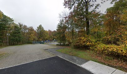 Basketball court