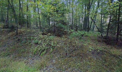 Michaux state forest