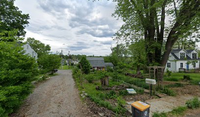 The Healing Garden