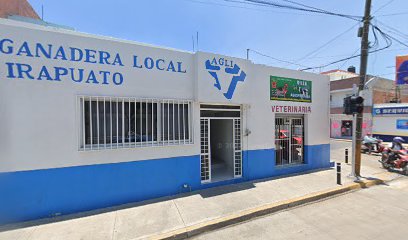 Asociacion Ganadera Local De Irapuato