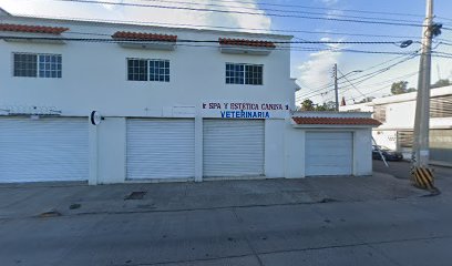 Spa Y Estetica Canina Veterinaria