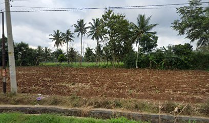 Yolanda Orange Farm