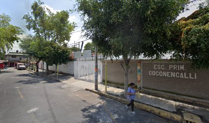Escuela Primaria 'Coconencalli'