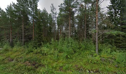 Sikeå Bergstäkt, NCC