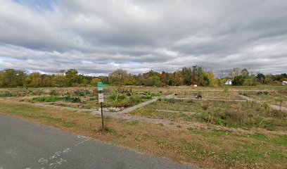 Hatfield Community Garden