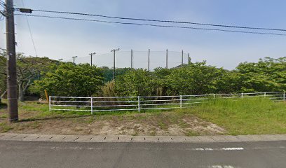 和田野球場