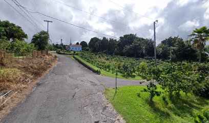 Lehuula Farms