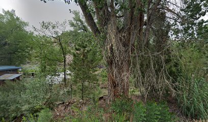 Rio Grande Bicycle Coop