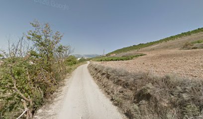 Zona dе senderismo - Camino dеl secarral - Fuenmayor