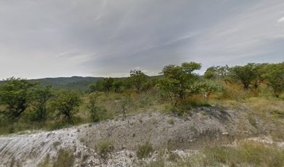 Palenque Mezcalero