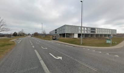 Ribevej (Langagervej / Aalborg)