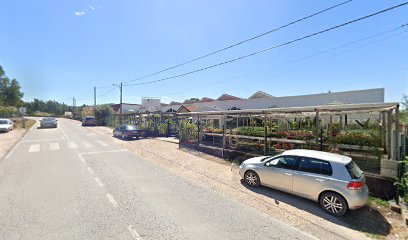 Zêzereplant - Comércio De Plantas E Artigos Para O Jardim, Lda.