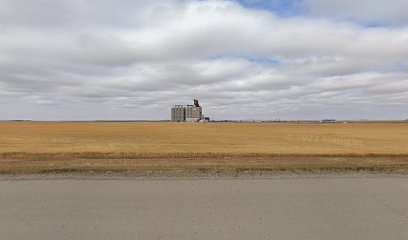 Viterra