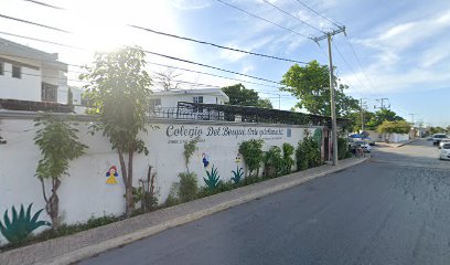 Colegio Del Bosque