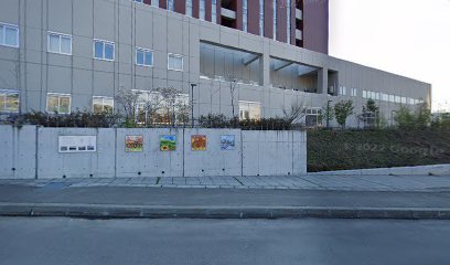 Otaru General Hospital Heliport