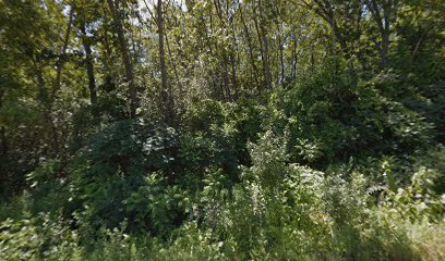 Hiawatha First Nation Cemetery