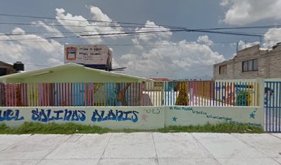 Jardin de Niños 'Miguel Salinas Alanis'