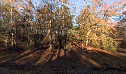 Spring Hill Cemetery