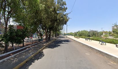 Skatepark Parque Lineak