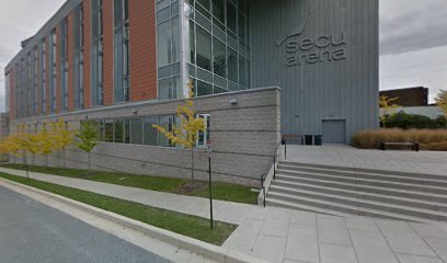 TOWSON WOMEN'S BASKETBALL