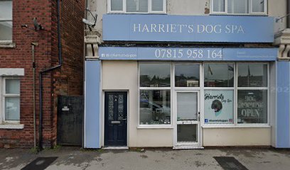 Harriet's Dog Spa