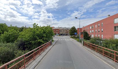 Ponte de Ranha