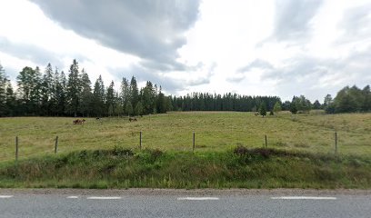 Skärsjöholm