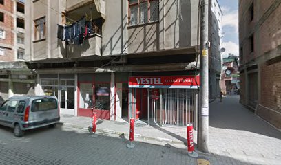 Vestel Yetkili Servisi - Terme - Aydın Elektronik