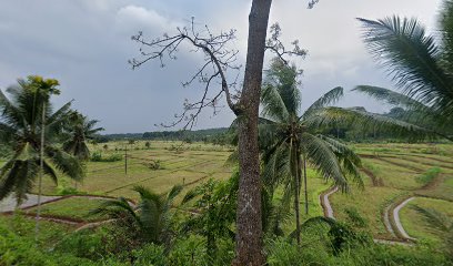 Toko peralatan pesta ulang tahun