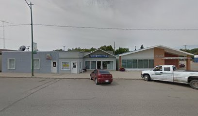 Watrous Coin Laundry