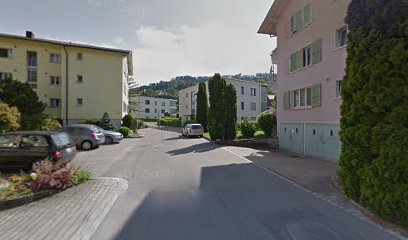 Zürcher Immobilien