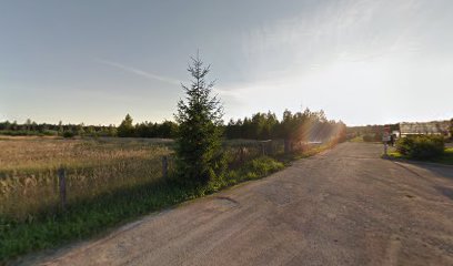 Latvijas valsts meži, Mežvidu kokaudzētava