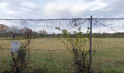 秋川グリーンスポーツ公園少年野球場Ｃ面