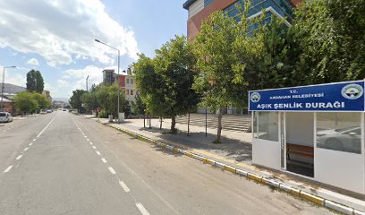 Sınır Turizm