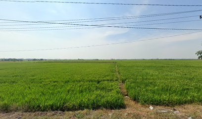 SP(Serikat Pekerja) Sang Hyang Seri