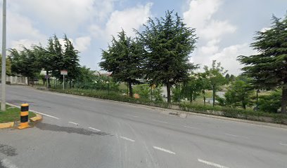 ASBAYBURT GEBZE ŞUBESİ