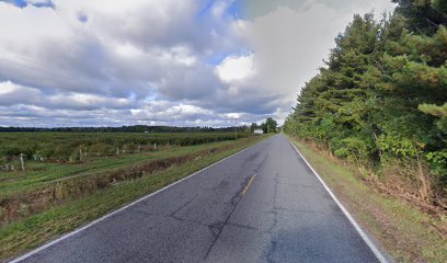 New Day Blueberry Farms