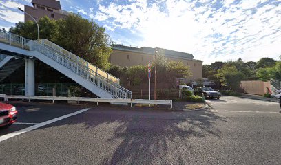 N2クリニック ホテル椿山荘東京院