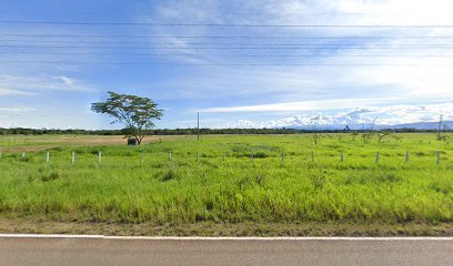 Campo Casona Parex