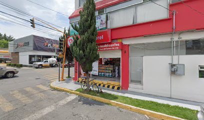 GUITAR ZONE (Toluca)