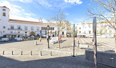 Elvas Guided Tours