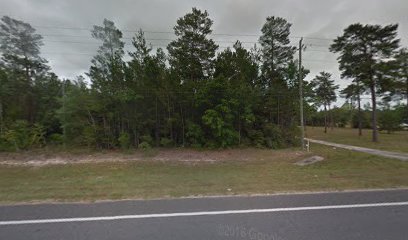 Bay County Land for Sale