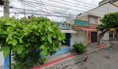 Cabaña De La Calle Doce Boutique De Plantas