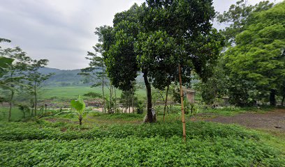 Kwari Tanah Desa Madugowong