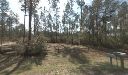 Florida Trail Deep Creek Trailhead