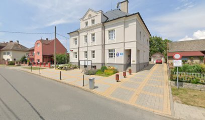 Obec Holasovice