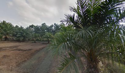 rumah reko nero