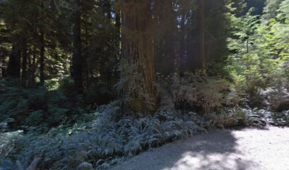 Nickerson Ranch Trailhead