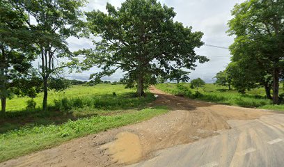 Curva la Candelita