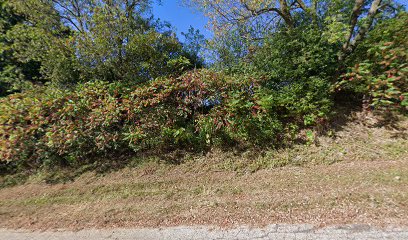 Rock Hill Cemetery